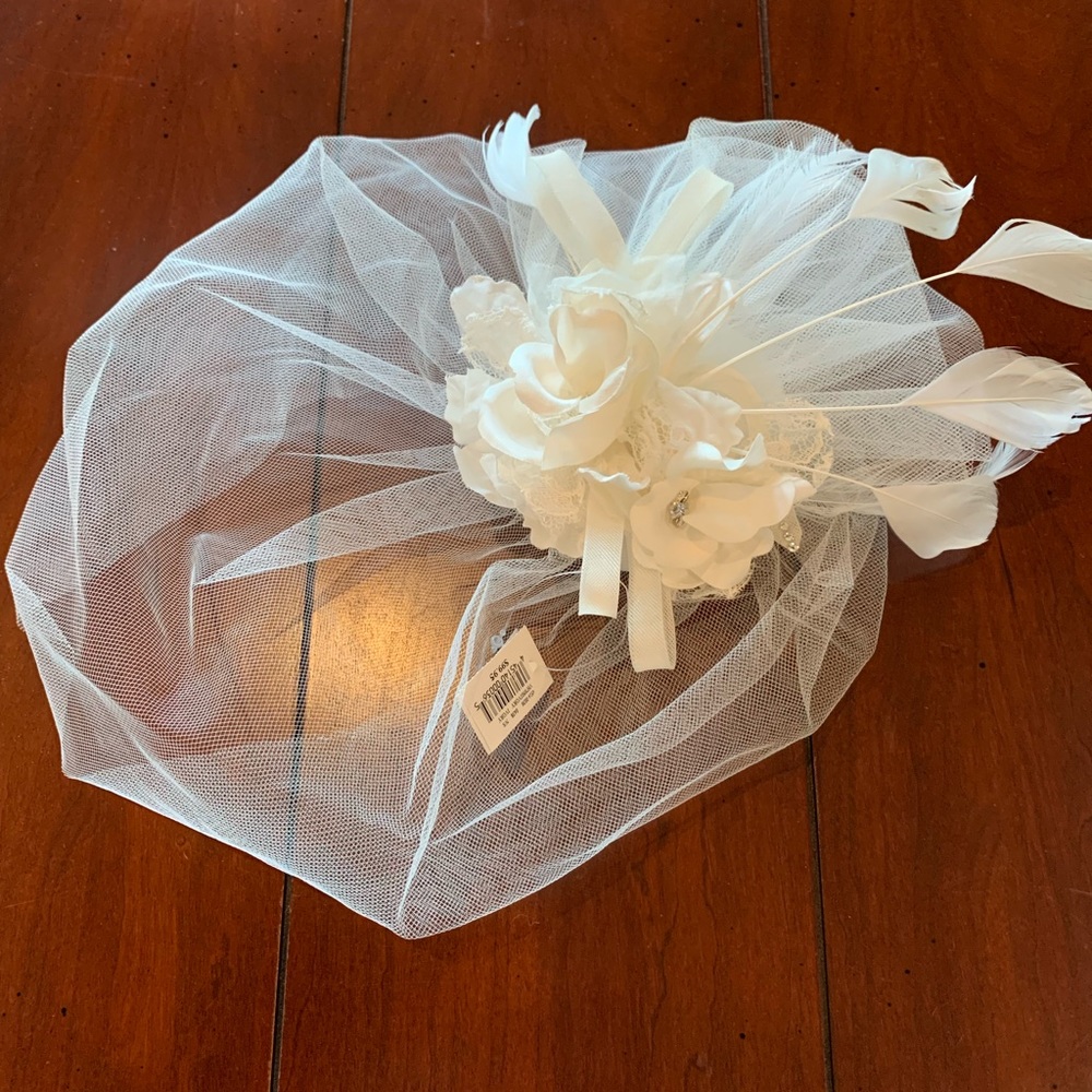 Bird cage veil